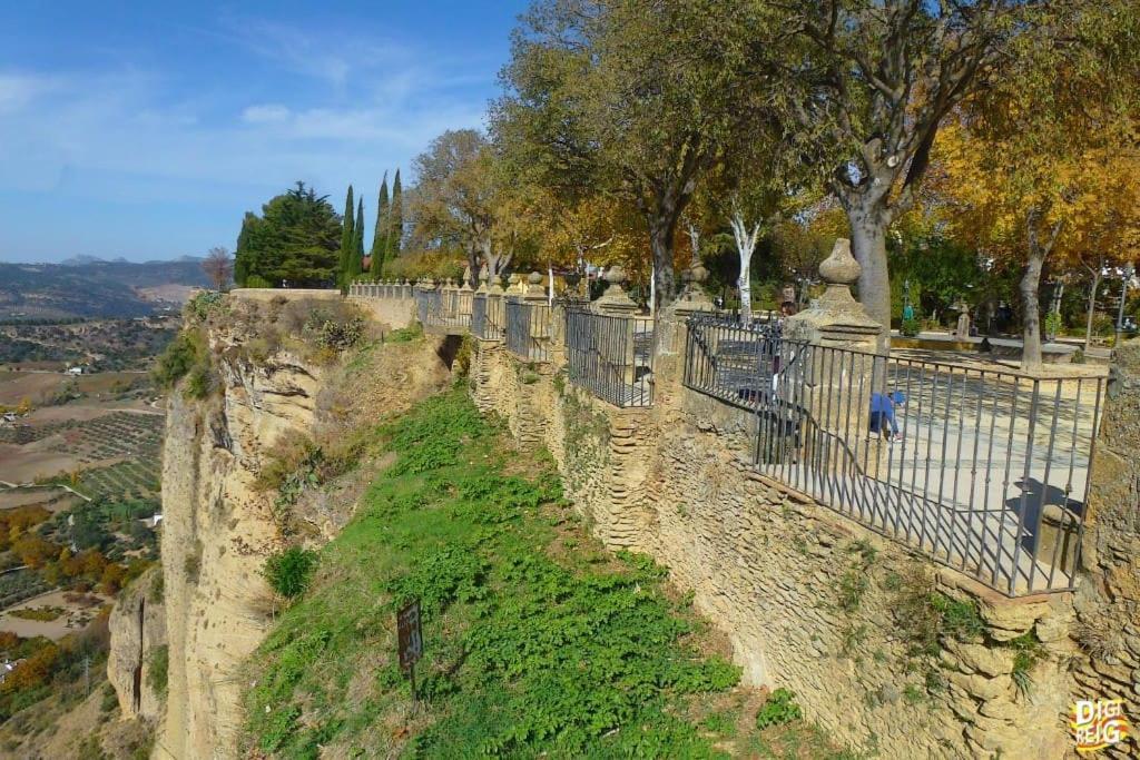 Casa La Puerta De Ronda Διαμέρισμα Cuevas del Becerro Εξωτερικό φωτογραφία