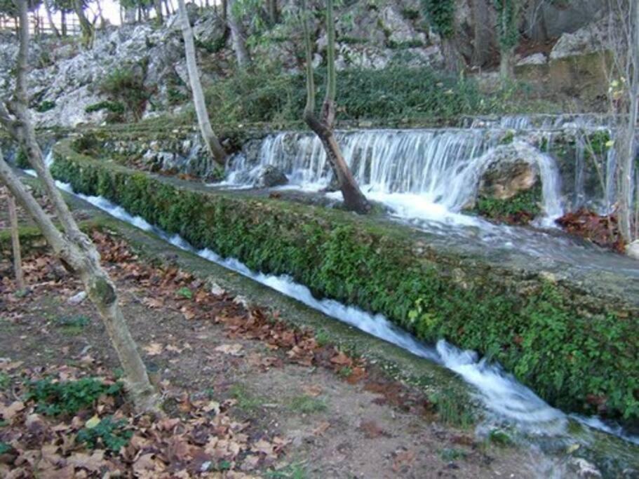 Casa La Puerta De Ronda Διαμέρισμα Cuevas del Becerro Εξωτερικό φωτογραφία
